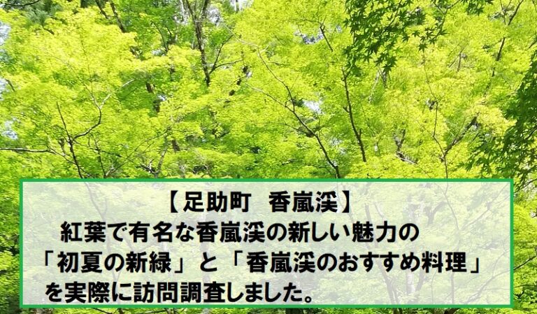 香嵐渓の新緑と料理